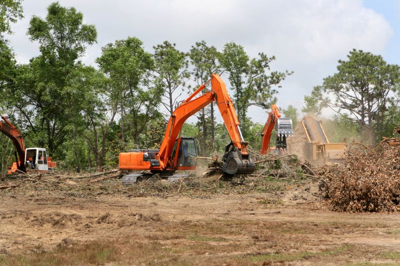 Increase Your Land Clearing Business with an AI Driven, Targeted Website