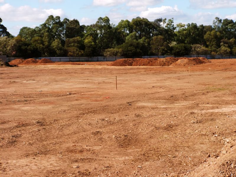 Post-Clearing Cleanup