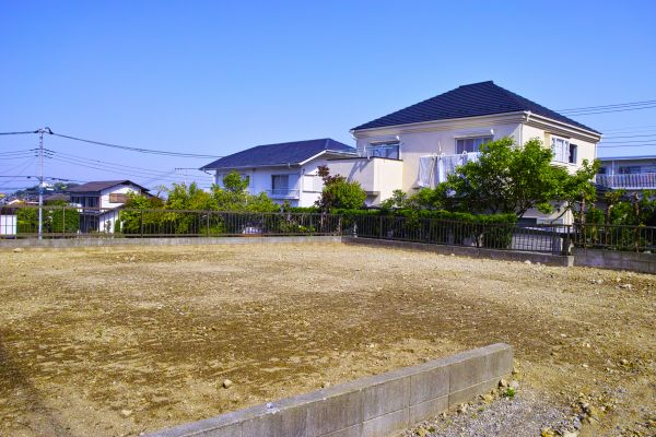 Cost of Lot Clearing Service in Indianapolis