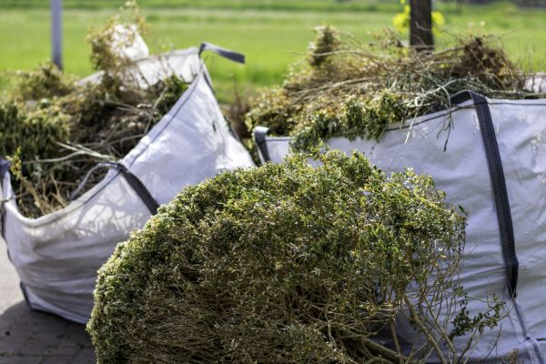 Cost of Bushes Clearing in Indianapolis