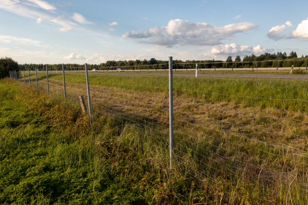 Cost of Property Line Clearing in Indianapolis